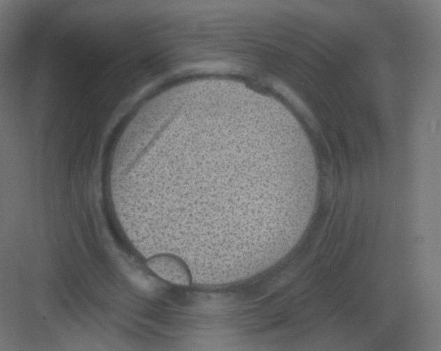 X0000081320486200702082140