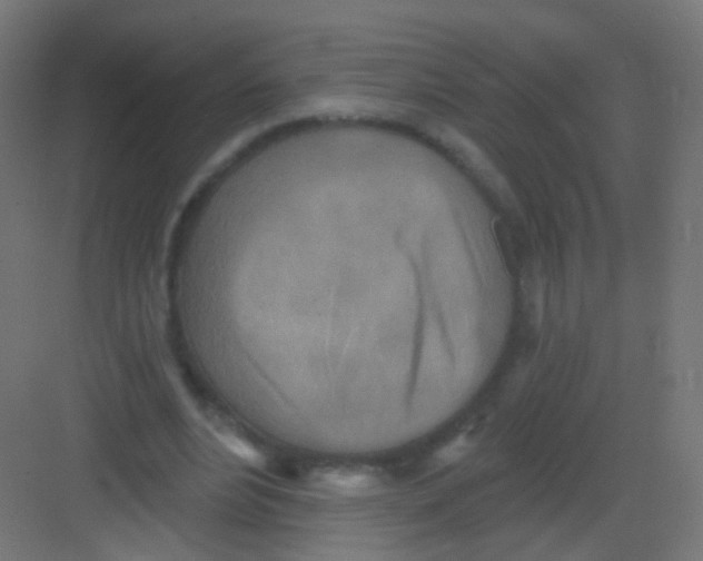 X0000081320488200702082140