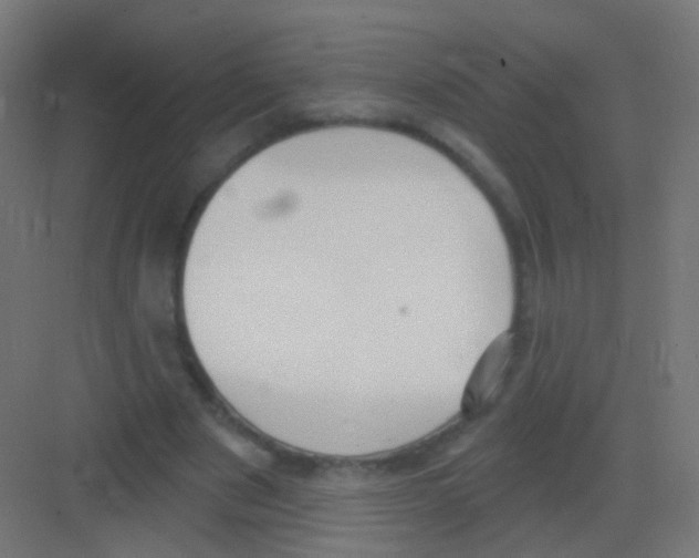 X0000081320489200702082140