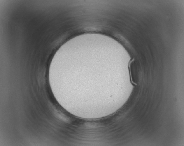 X0000081320490200702082140