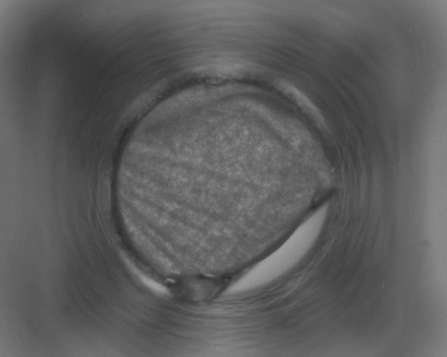 X0000081320493200702082140