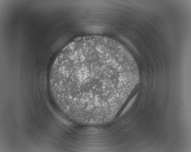 X0000081320494200702082140