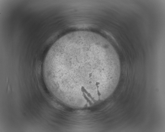 X0000081320495200702082140