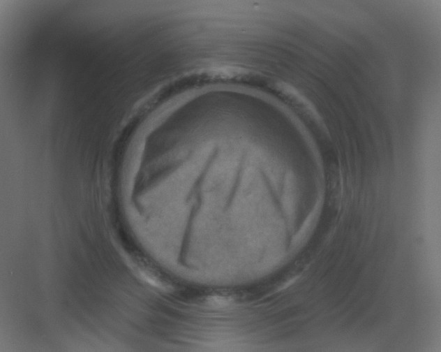 X0000081320496200702082140