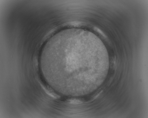 X0000081320500200702082140