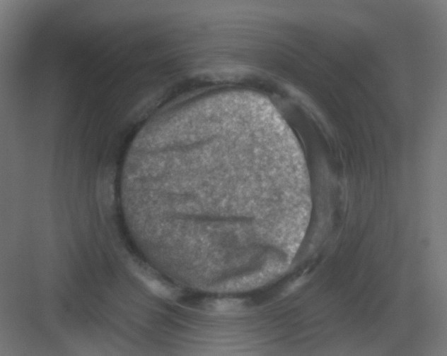 X0000081320501200702082140