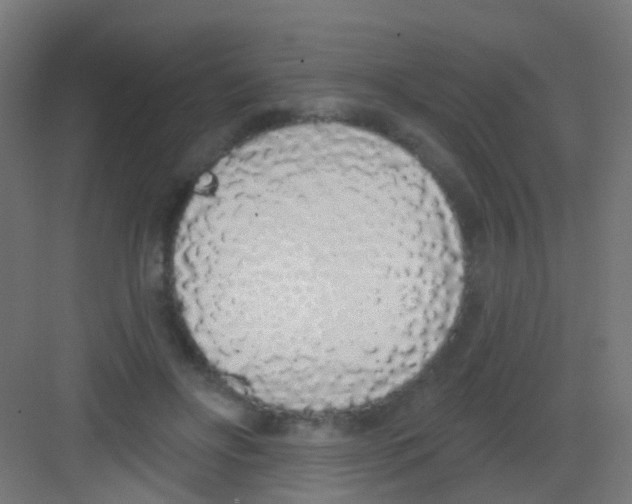 X0000081320502200702082140