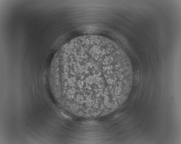 X0000081320503200702082140