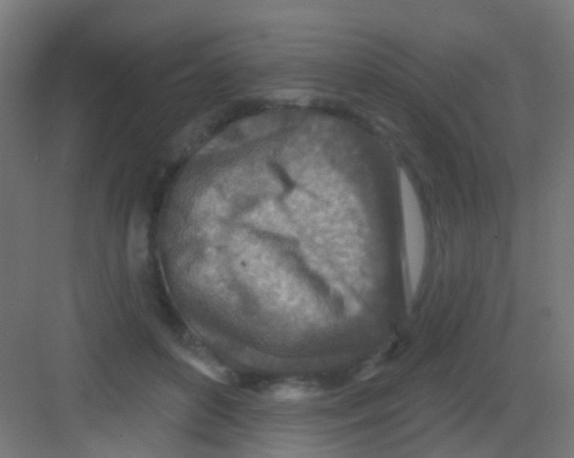 X0000081320504200702082140