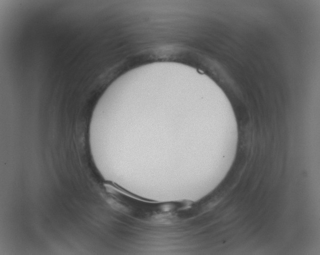 X0000081320505200702082140