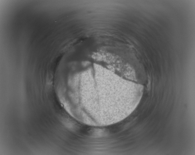 X0000081320507200702082139