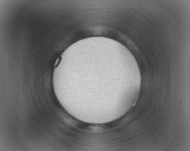 X0000081320509200702082139