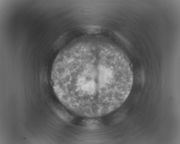 X0000081320512200702082139