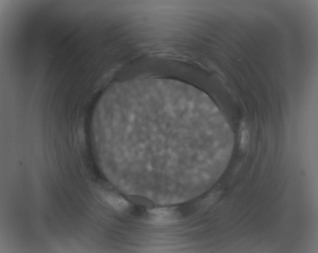 X0000081320516200702082139