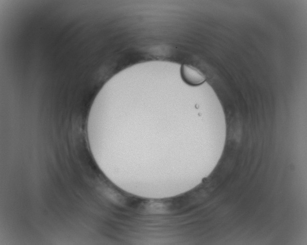 X0000081320518200702082139