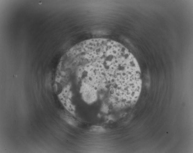 X0000081320519200702082139