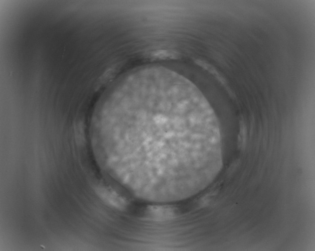 X0000081320520200702082139