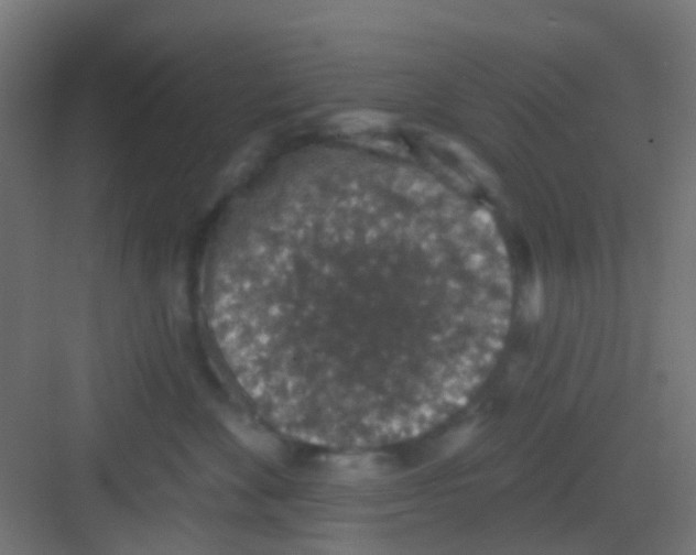 X0000081320524200702082139