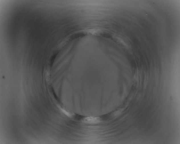 X0000081320526200702082139