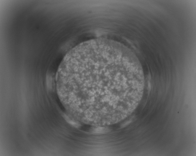 X0000081320527200702082139