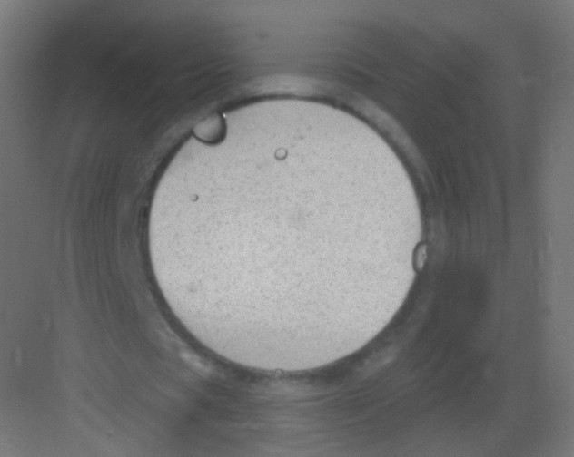 X0000081320529200702082138