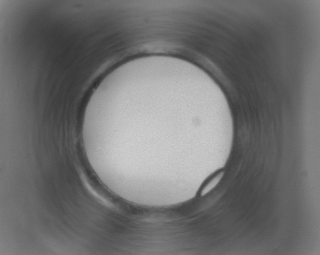 X0000081320530200702082138