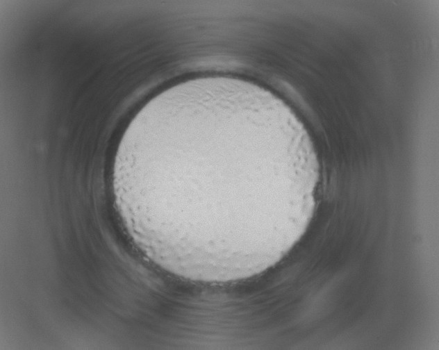 X0000081320531200702082138