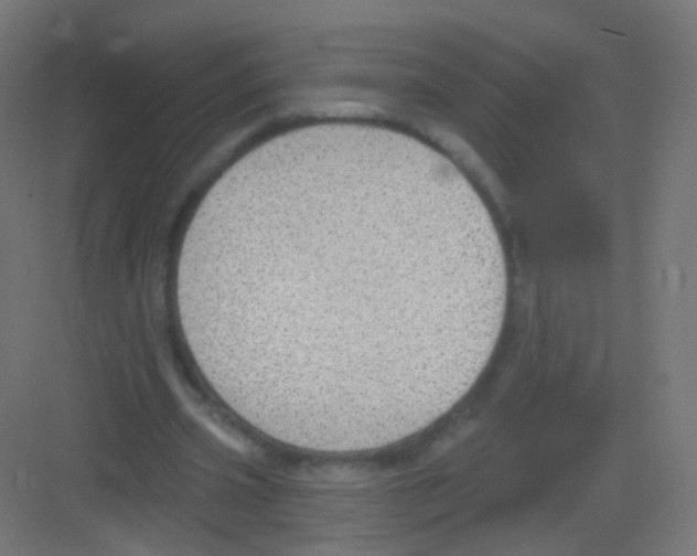 X0000081320533200702082138