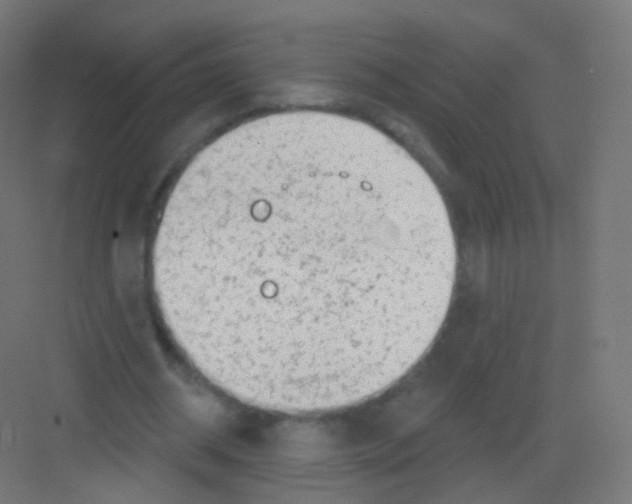 X0000081320534200702082138