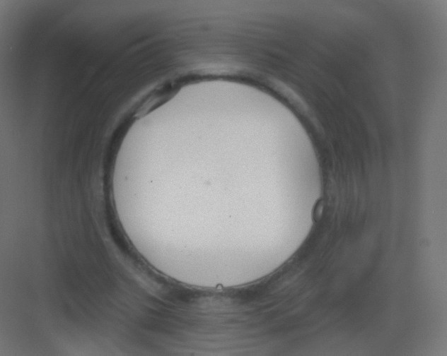 X0000081320535200702082138