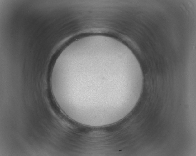 X0000081320536200702082138