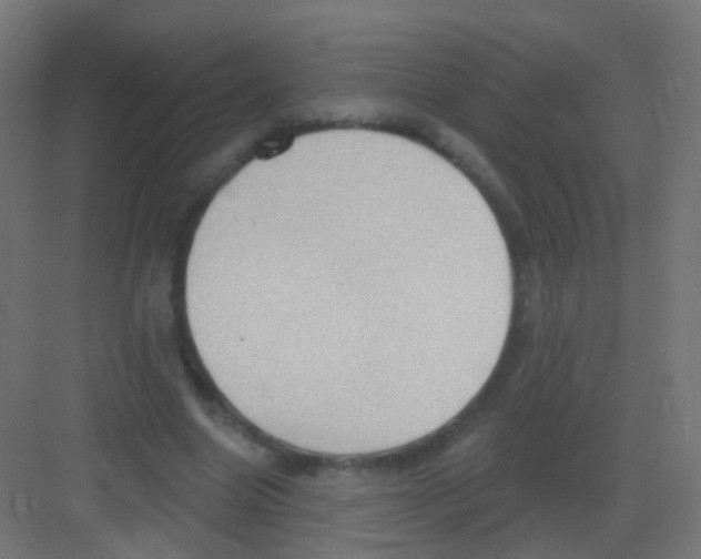 X0000081320538200702082138