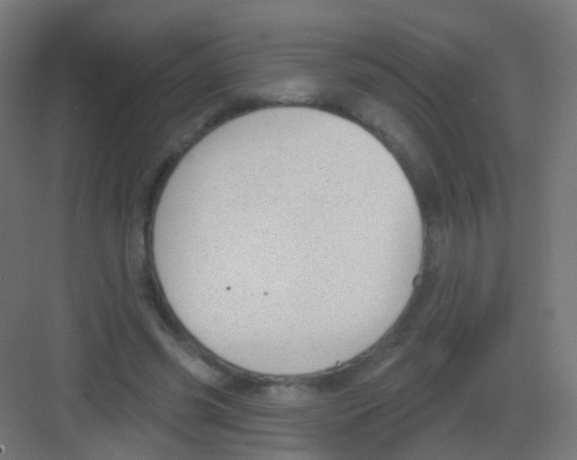 X0000081320541200702082139