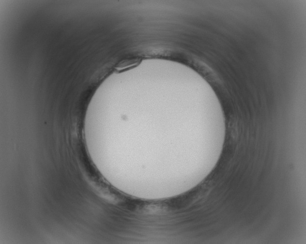 X0000081320546200702082139