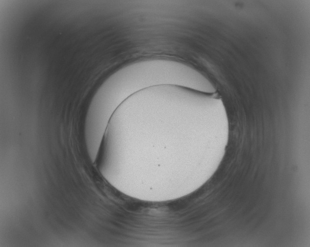 X0000081320548200702082139