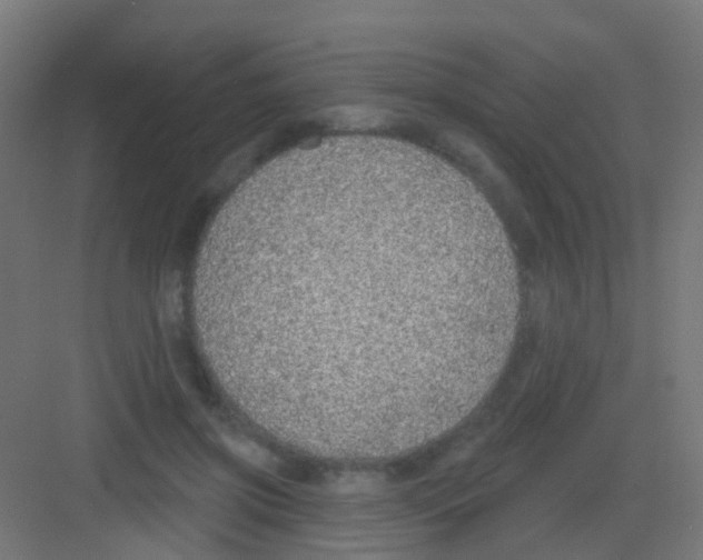 X0000081320549200702082139