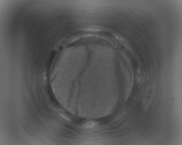 X0000081320551200702082139