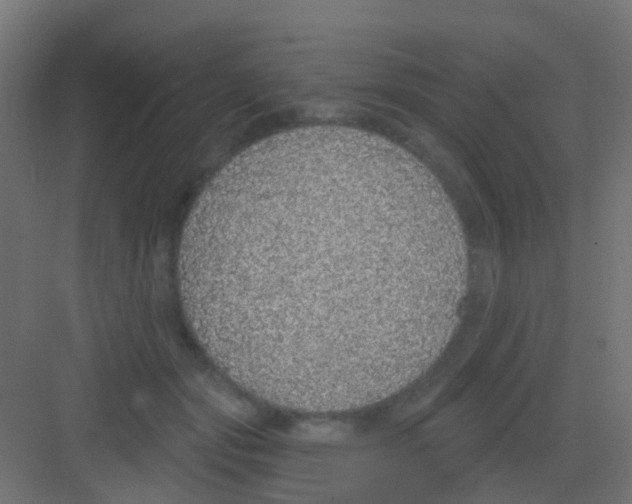 X0000081320557200702082139