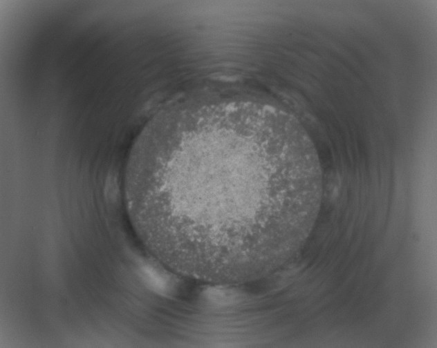 X0000081320568200702082139