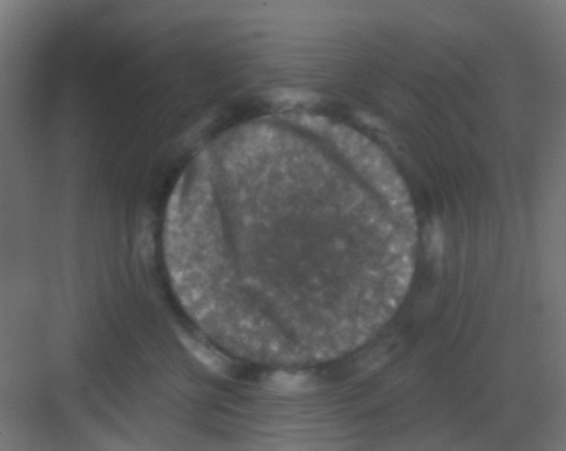 X0000081320570200702082139