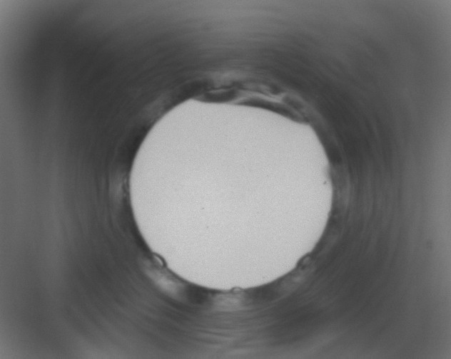 X0000081320574200702082139