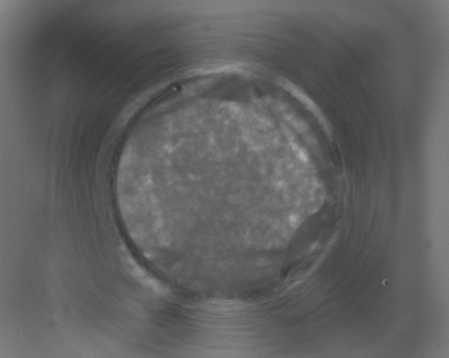 X0000081320577200702082138