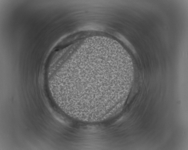 X0000081320580200702082138