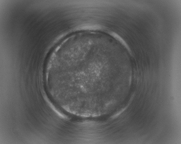 X0000081320581200702082138