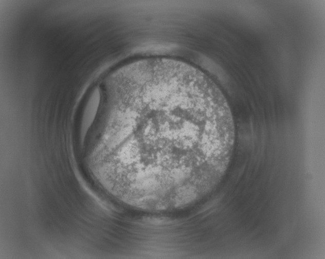 X0000081320582200702082138