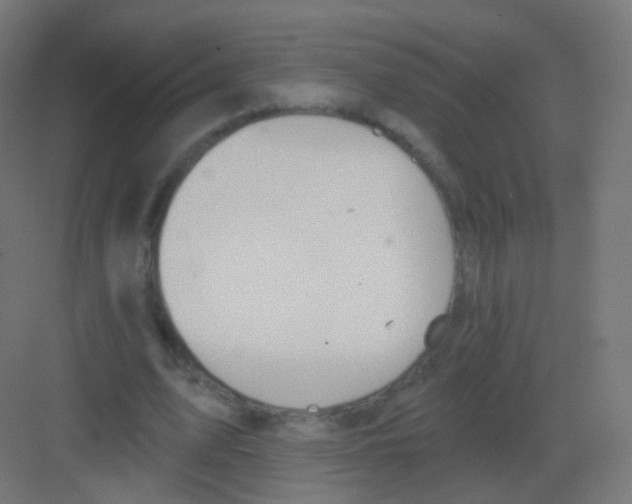 X0000081320583200702082138