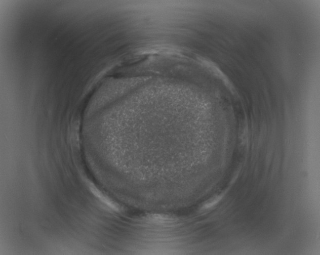 X0000081320585200702082138