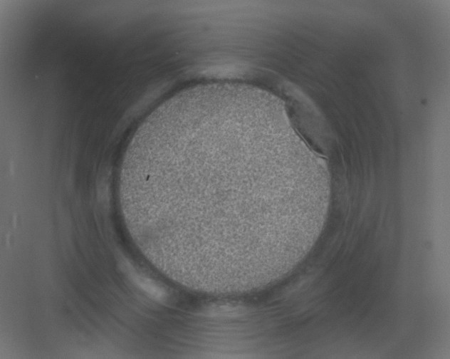 X0000081320586200702082138