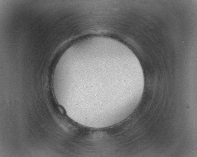 X0000081320587200702082138