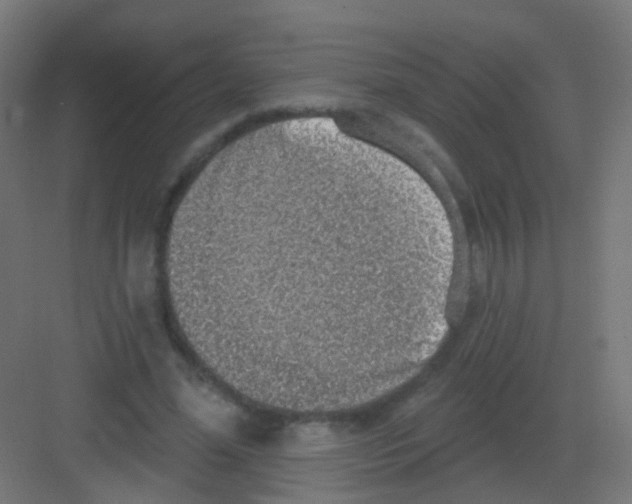 X0000081320588200702082138